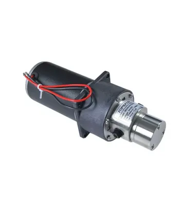 Насос шестеренчатый  24VDC MG204XK